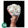 Canvas Print - Flowers & Feathers | A Deal Each Week